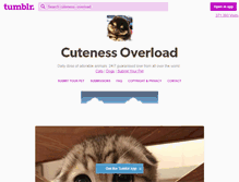 Tablet Screenshot of cuteness-overload.com